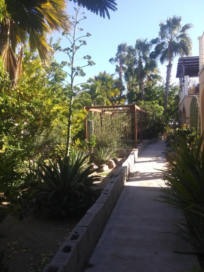 Coco Cabanas Loreto Loreto  Exterior photo